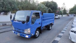 
										Isuzu Elf Kamyon Arkası Lıftlı 2010 Model dolu									