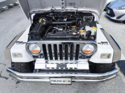 
										2001 Model Jeep Wrangler Sahara Edition 4×4 Benzın Otomatik dolu									